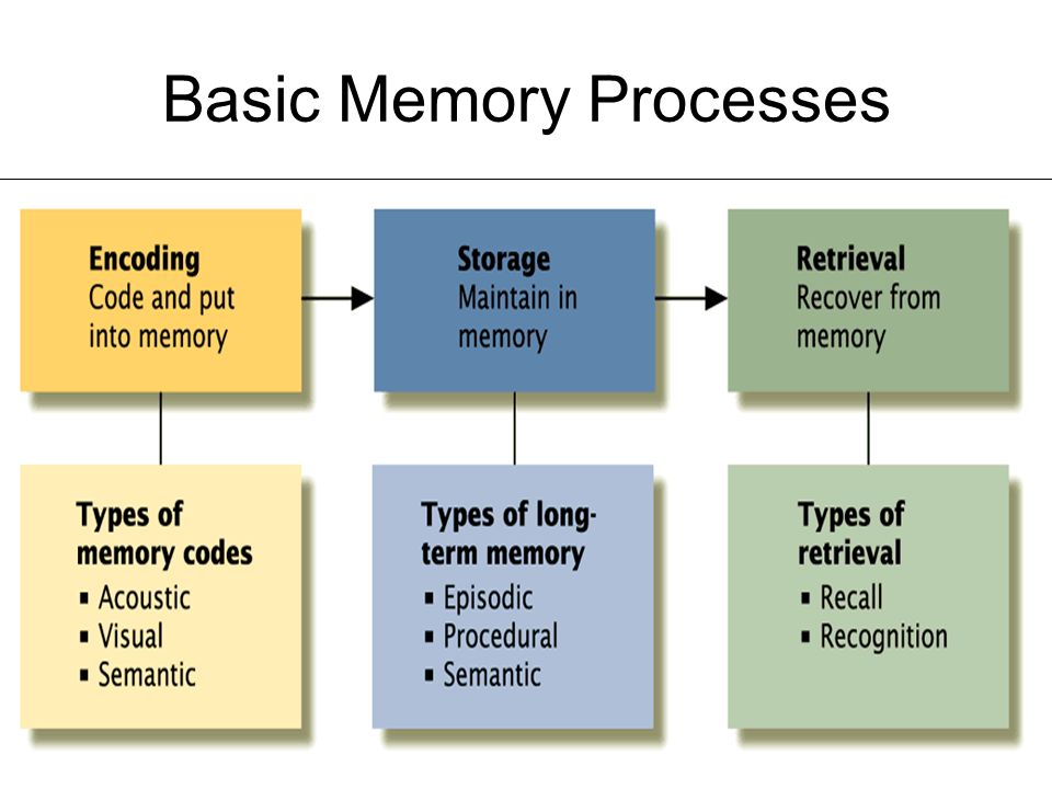 Information Processing Module ppt download