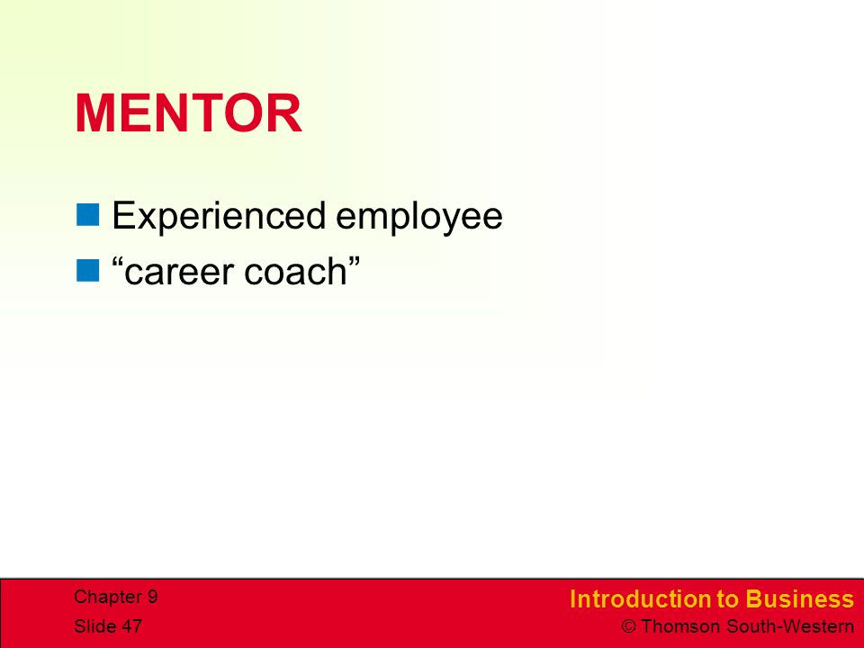 MENTOR Experienced employee career coach Chapter 9