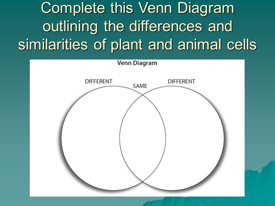 Complete this Venn Diagram outlining the differences and similarities of pl...
