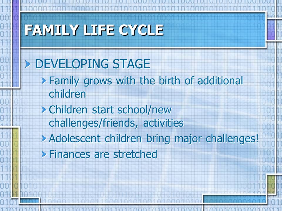 FAMILY LIFE CYCLE DEVELOPING STAGE