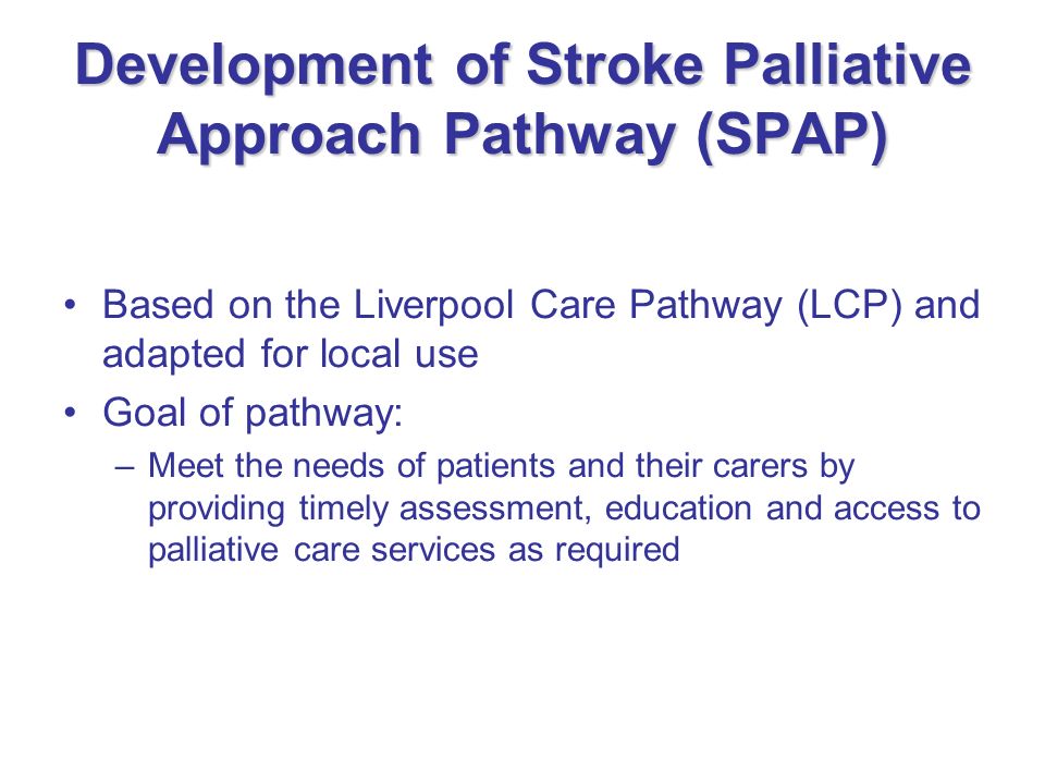 Development of Stroke Palliative Approach Pathway (SPAP)