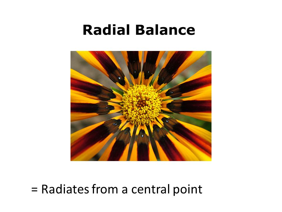 Radial Balance = Radiates from a central point
