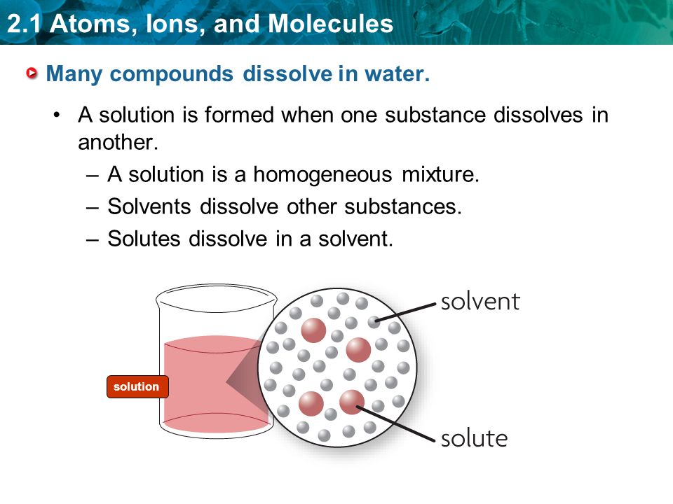 Many compounds dissolve in water.