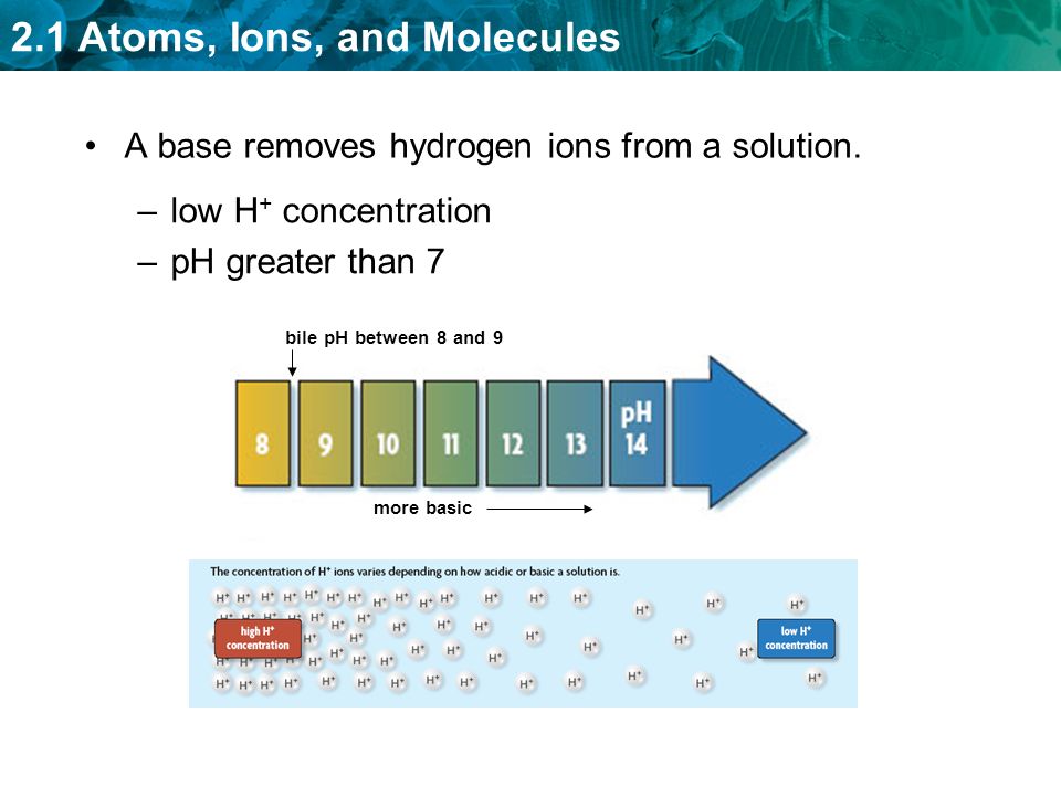 A base removes hydrogen ions from a solution.