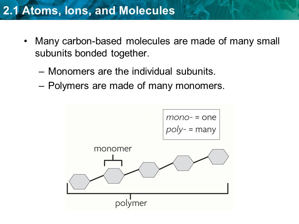 Many carbon-based molecules are made of many small subunits bonded together.