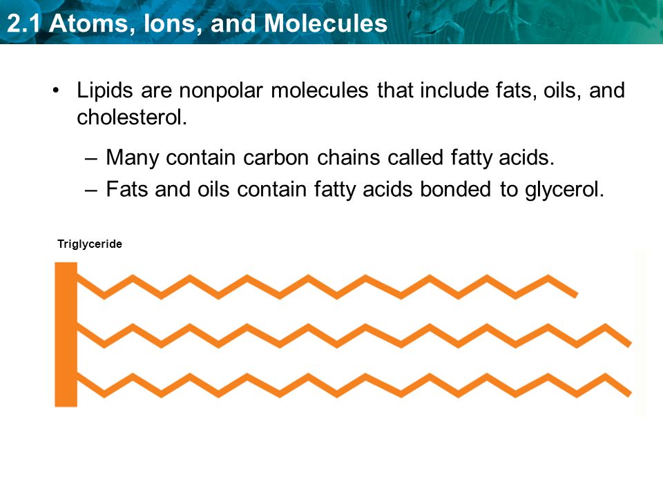 Many contain carbon chains called fatty acids.