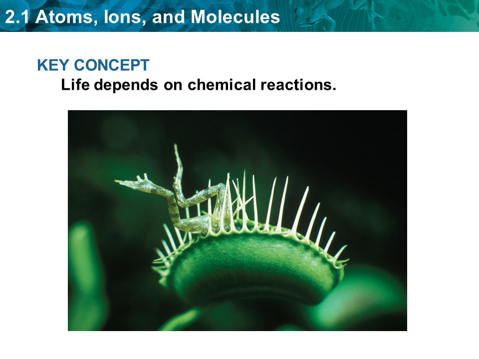 KEY CONCEPT Life depends on chemical reactions.