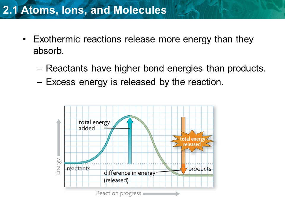 Exothermic reactions release more energy than they absorb.