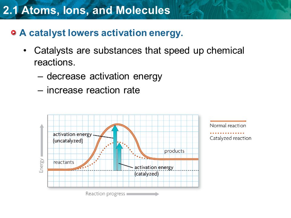 A catalyst lowers activation energy.