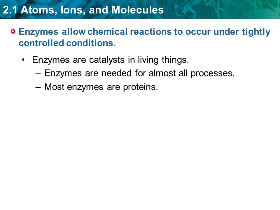 Enzymes allow chemical reactions to occur under tightly controlled conditions.