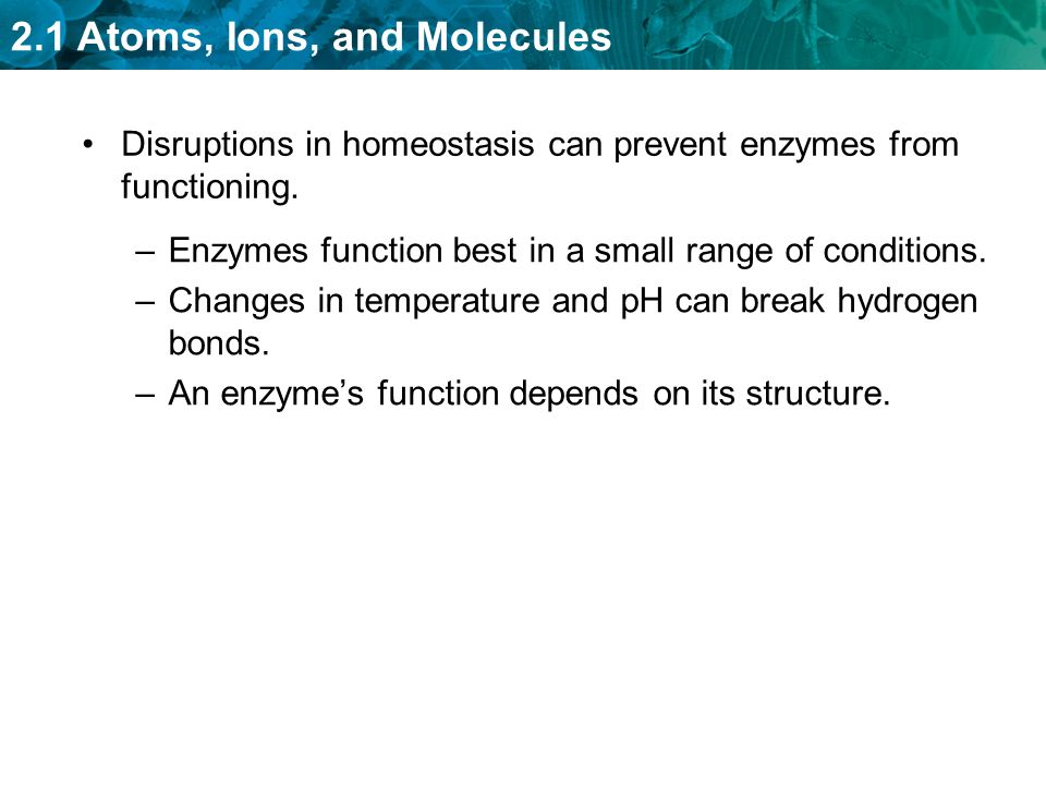 Disruptions in homeostasis can prevent enzymes from functioning.