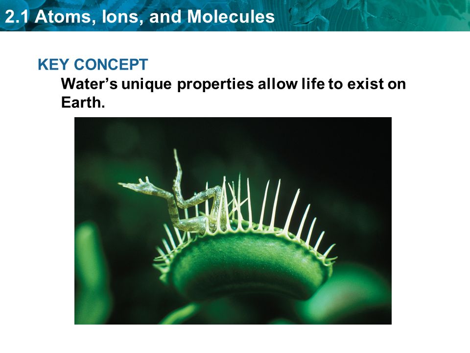 KEY CONCEPT Water’s unique properties allow life to exist on Earth.