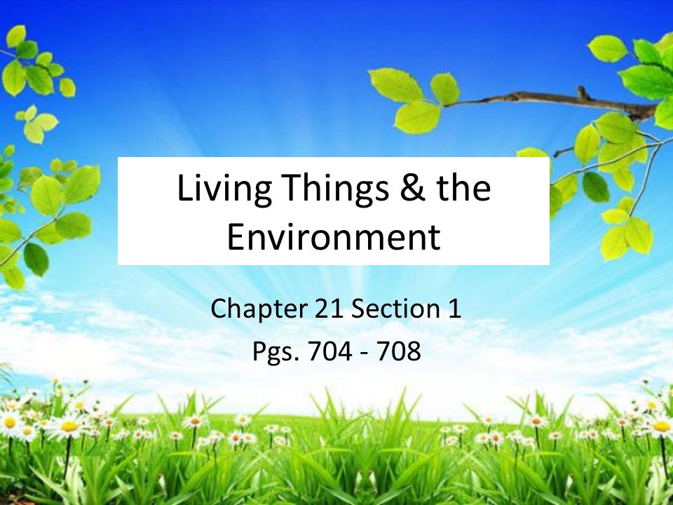 Living Things & the Environment