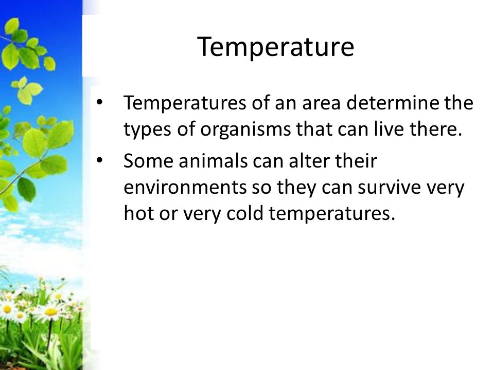 Temperature Temperatures of an area determine the types of organisms that can live there.
