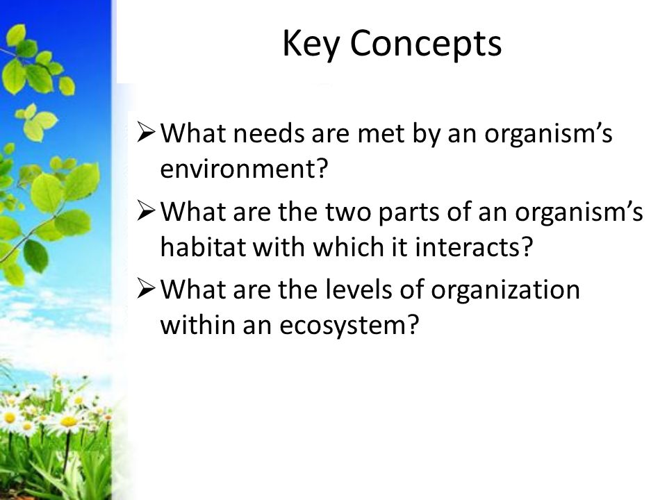 Key Concepts What needs are met by an organism’s environment
