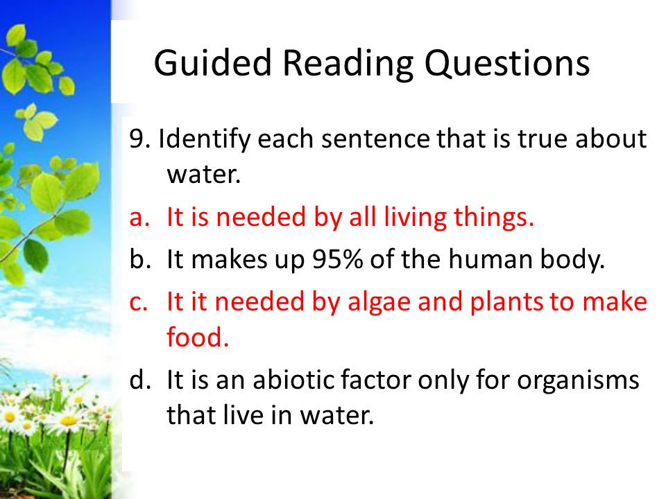 Guided Reading Questions