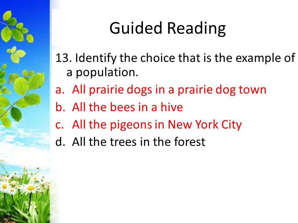 Guided Reading 13. Identify the choice that is the example of a population. All prairie dogs in a prairie dog town.