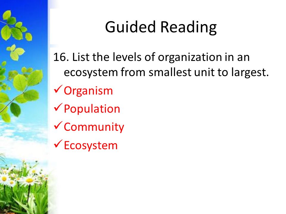 Guided Reading 16. List the levels of organization in an ecosystem from smallest unit to largest. Organism.