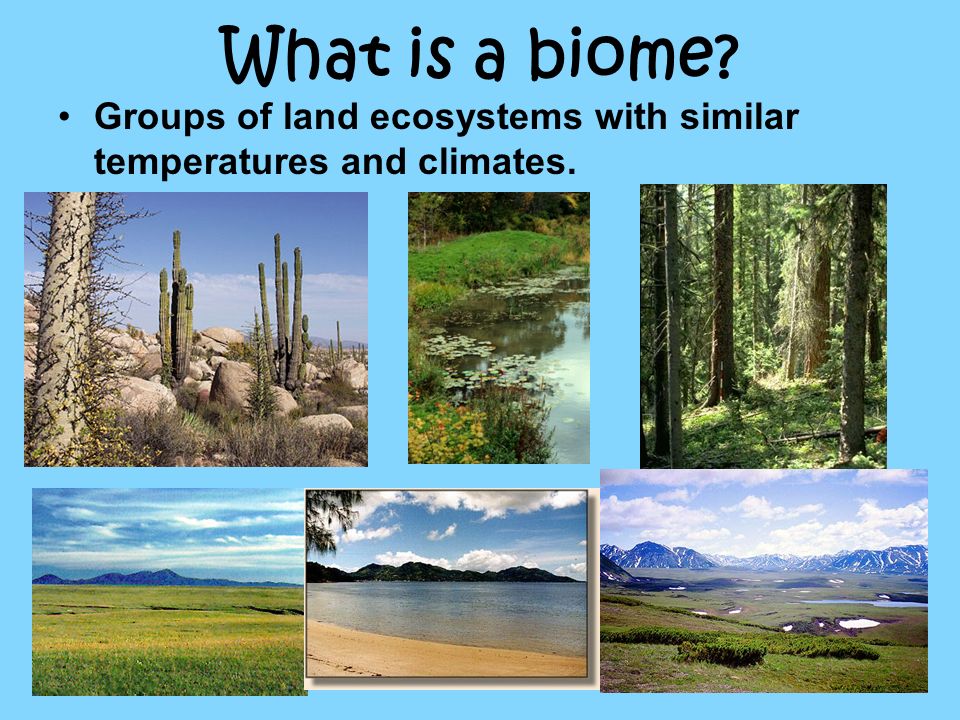 What is a biome. Groups of land ecosystems with similar temperatures and climates.