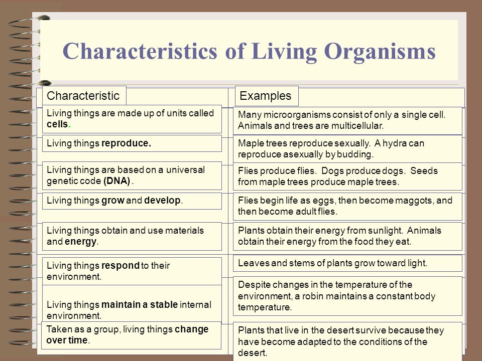 Characteristic feature. Characteristics of Living Organisms. Characteristics of Living things. Characteristic feature of Living Organisms. Seven characteristics of Living things.