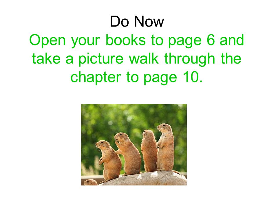 Do Now Open your books to page 6 and take a picture walk through the chapter to page 10.