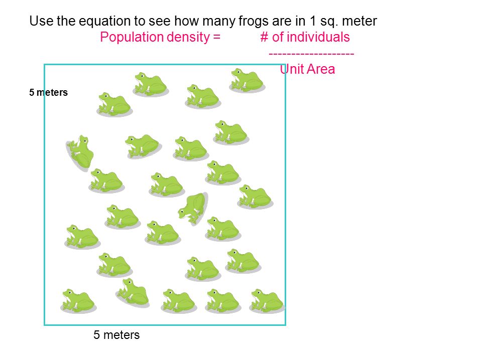 Use the equation to see how many frogs are in 1 sq. meter
