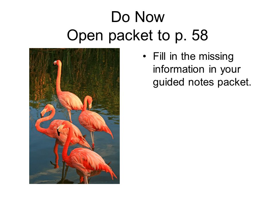 Do Now Open packet to p. 58 Fill in the missing information in your guided notes packet.