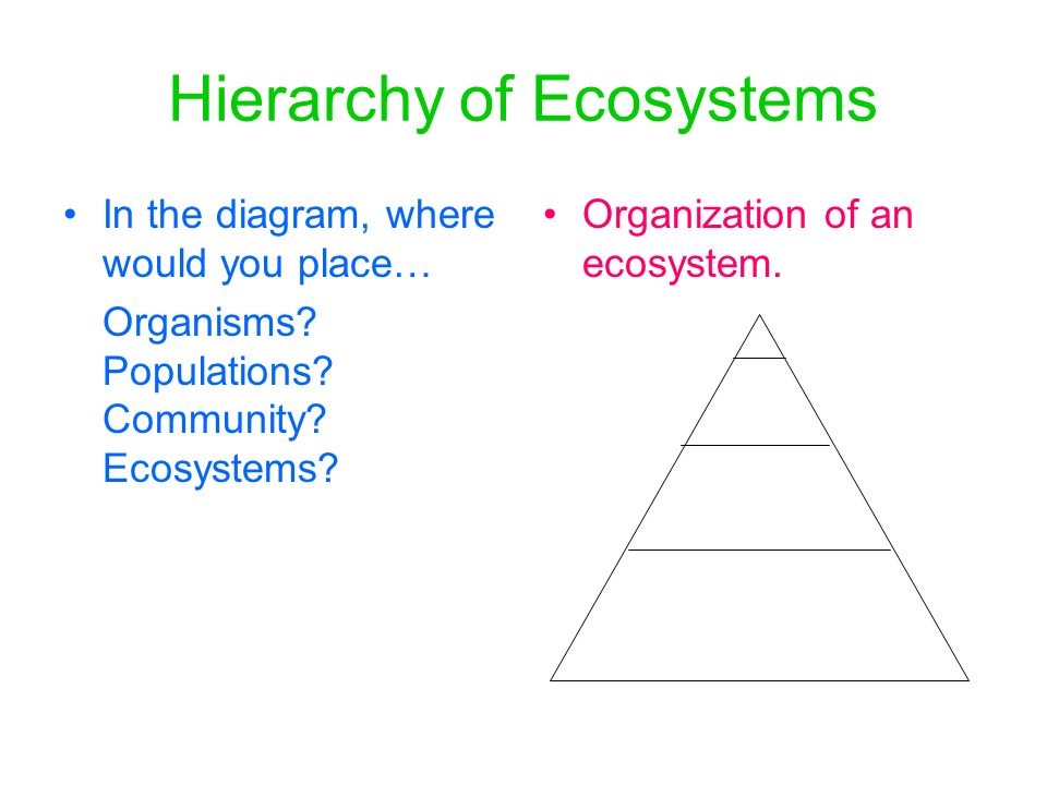 Hierarchy of Ecosystems