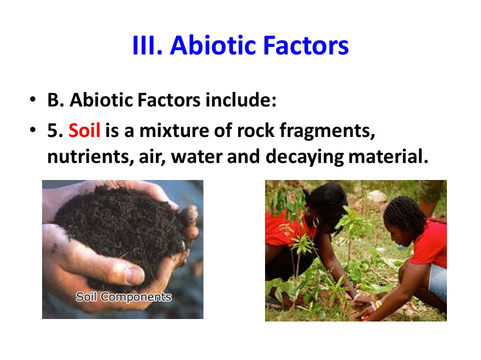 III. Abiotic Factors B. Abiotic Factors include: