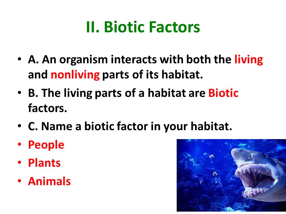 II. Biotic Factors A. An organism interacts with both the living and nonliving parts of its habitat.