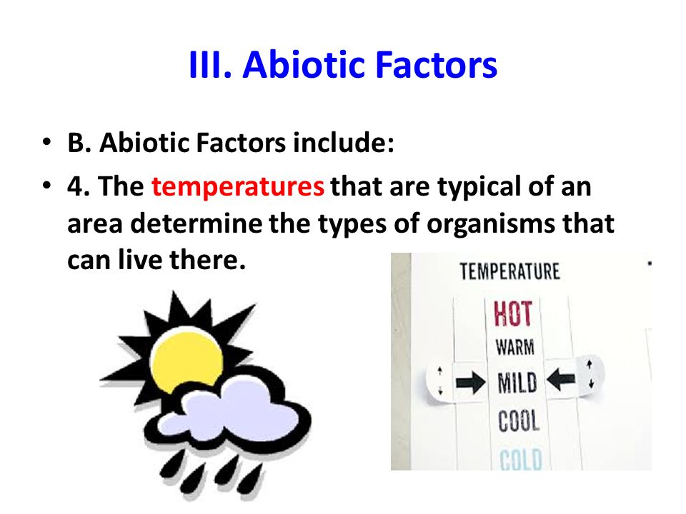 III. Abiotic Factors B. Abiotic Factors include: