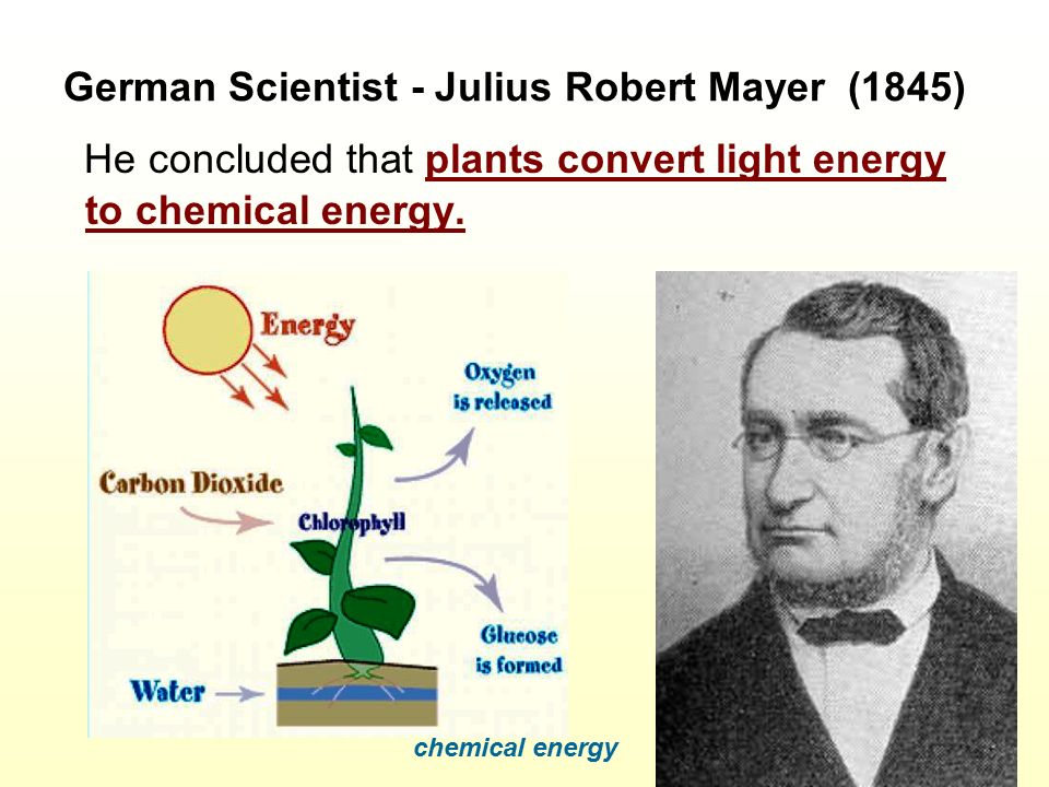 PHOTOSYNTHESIS: History of Discoveries - ppt video online download