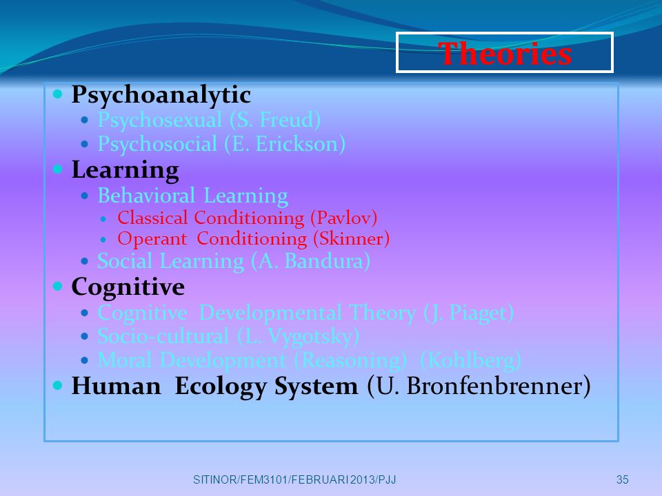 Theories Psychoanalytic Learning Cognitive