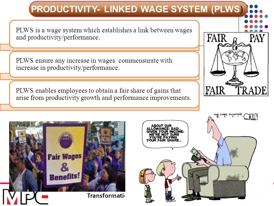 Productivity Linked Wage Systems