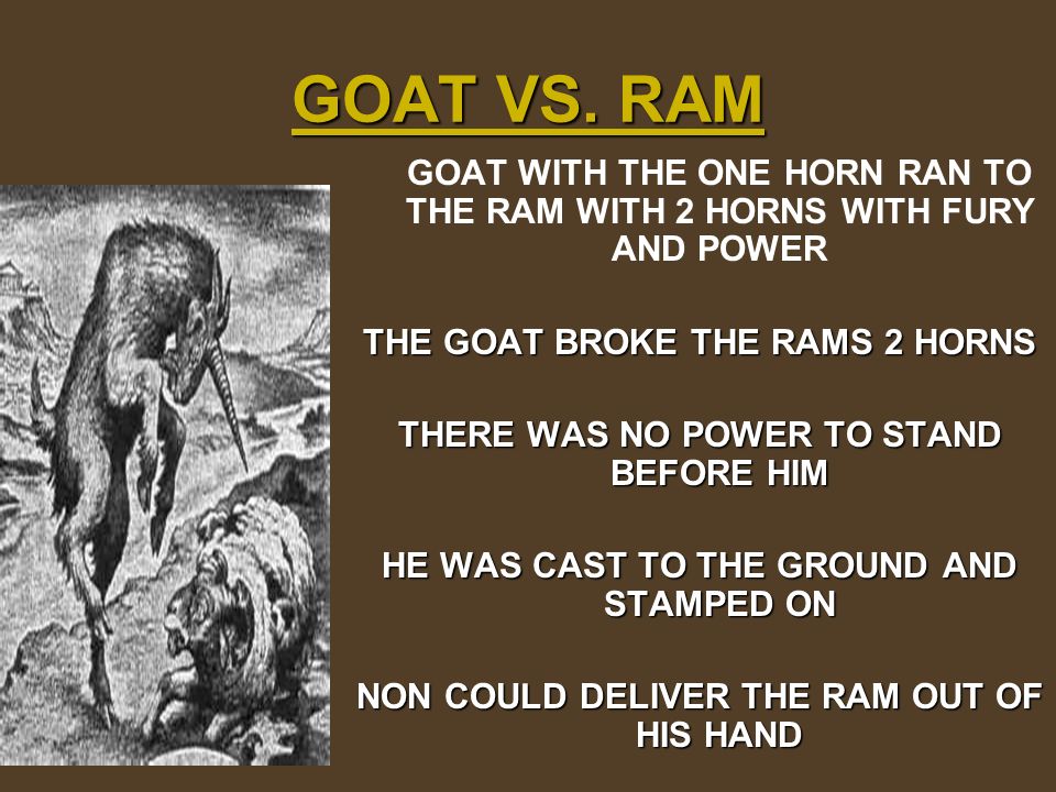 Difference Between Ram and Goat