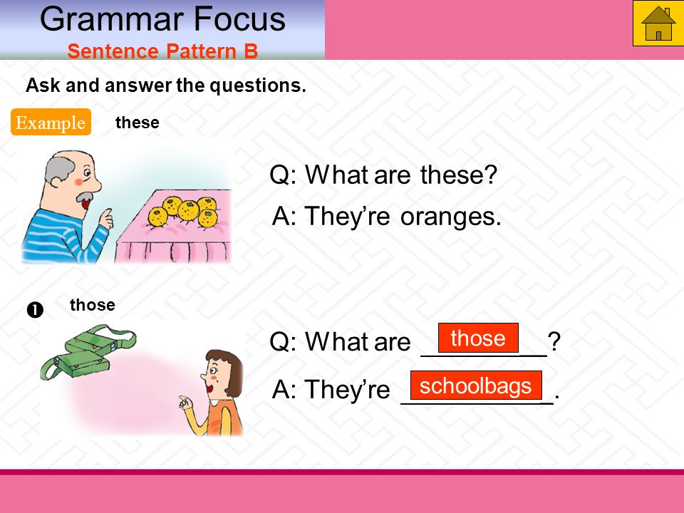 Grammar Focus Sentence Pattern B