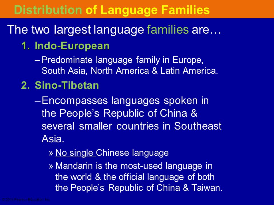 what are the two largest language families in the world