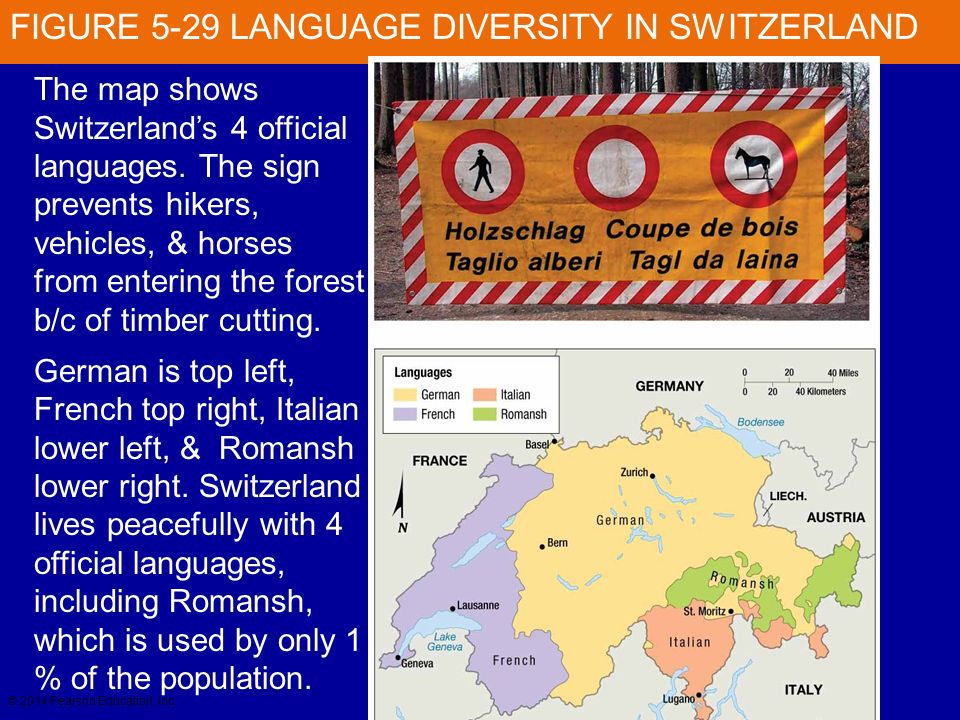 FIGURE 5-29 LANGUAGE DIVERSITY IN SWITZERLAND