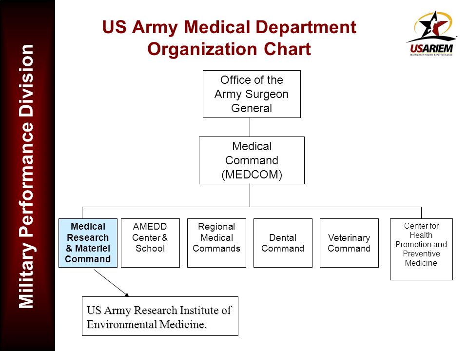 Medcom Organizational Chart