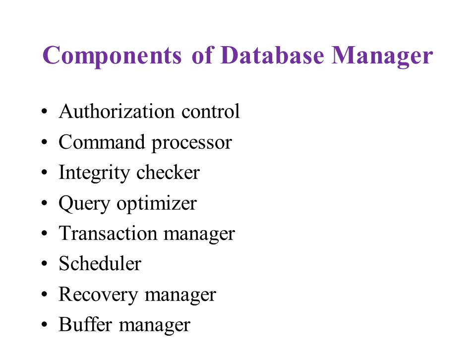 Components of Database Manager