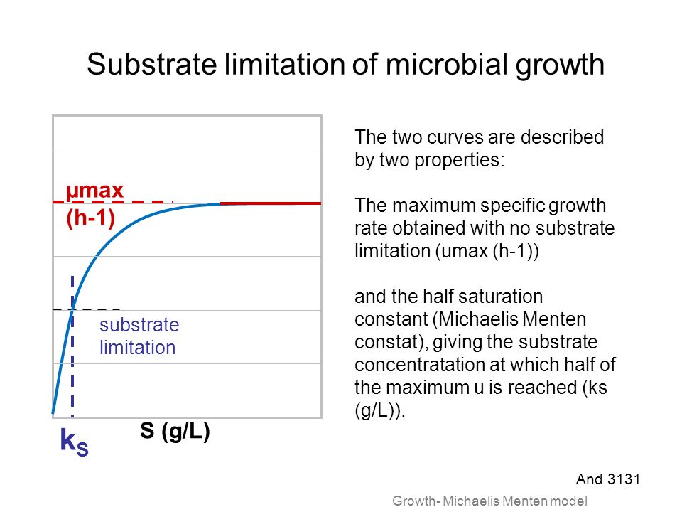 Growth Overview Microbial Growth Overview Of Terms Exponential Growth U Td Productivity Substrate Limitation Of Metabolism Link Between Metabolism Ppt Download
