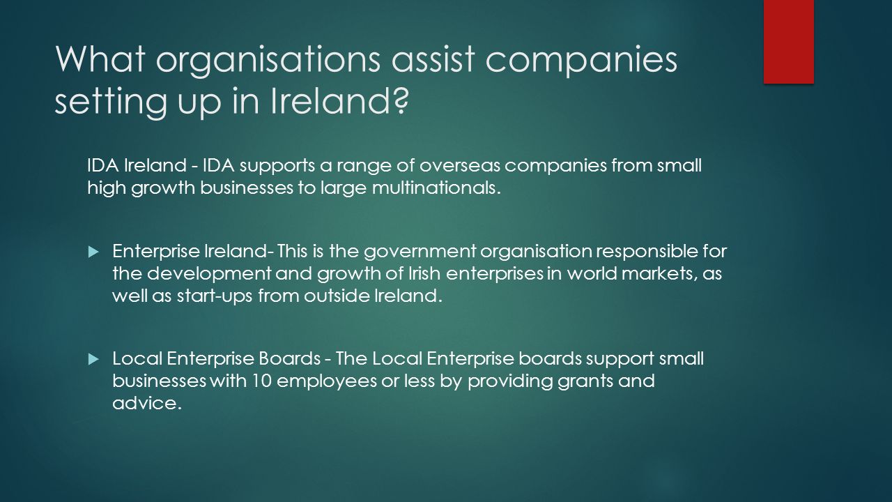 What organisations assist companies setting up in Ireland
