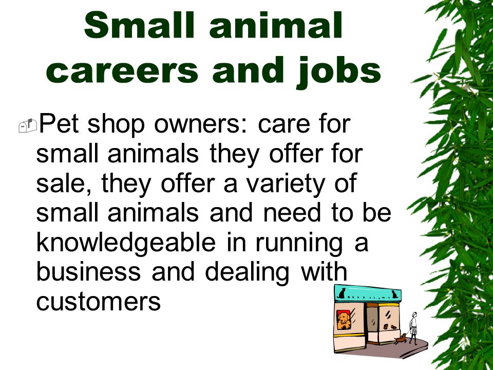 The Small Animal Care Industry- Part I - ppt video online download