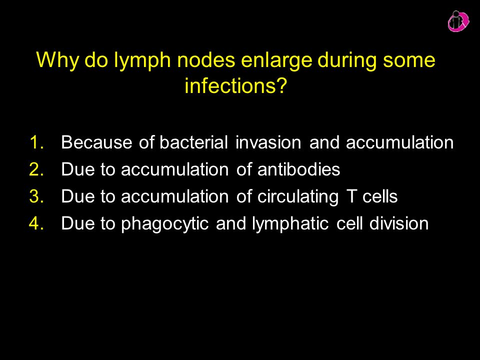 Why do lymph nodes enlarge during some infections