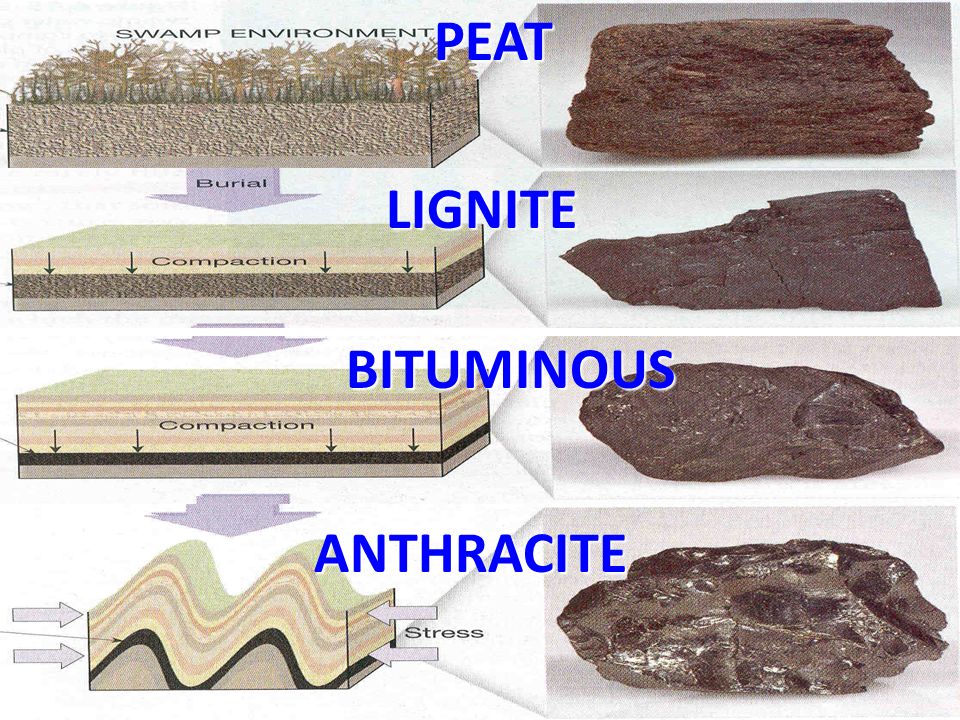 peat lignite bituminous anthracite