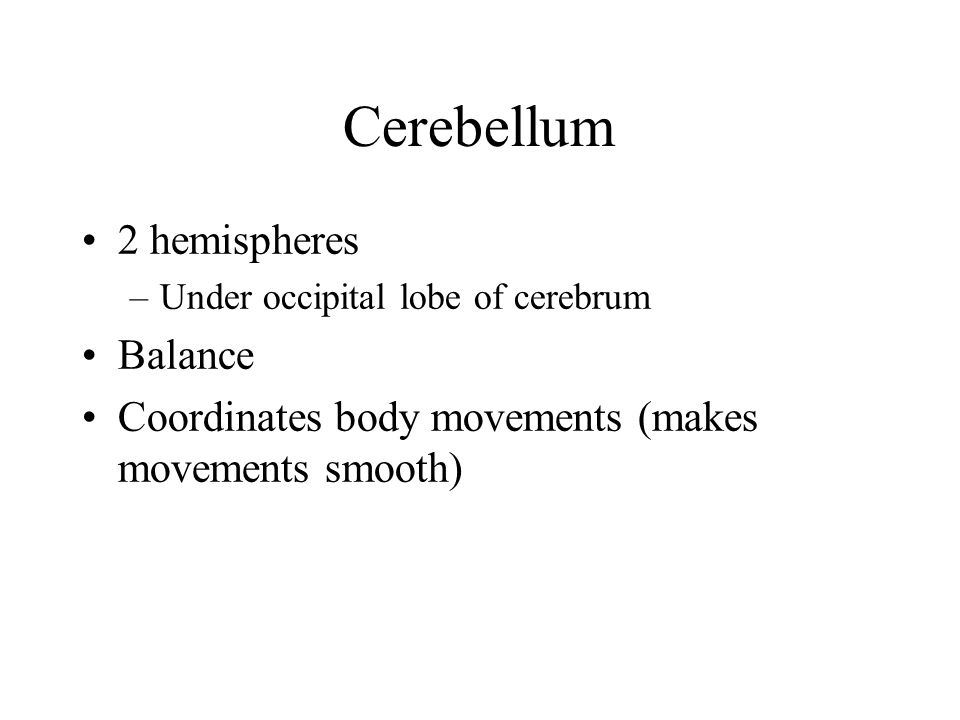 Cerebellum 2 hemispheres Balance