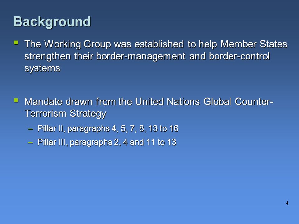 The Working Group was established to help Member States strengthen their border-management and border-control systems