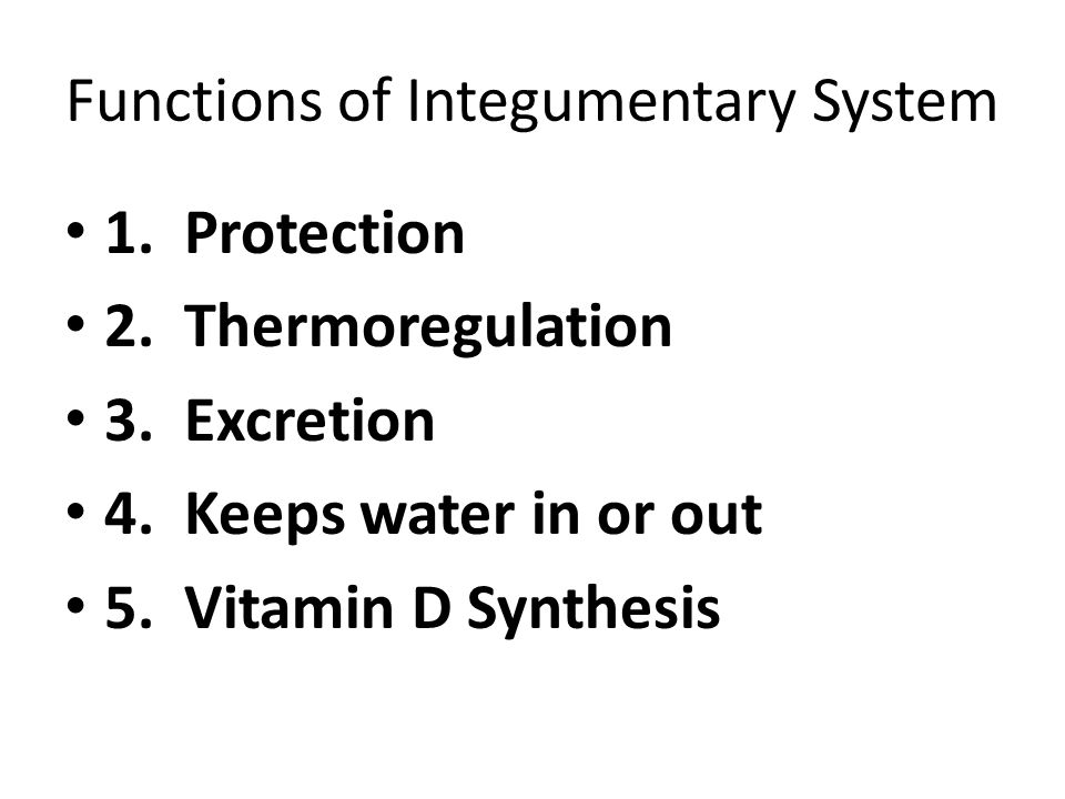 Functions of Integumentary System