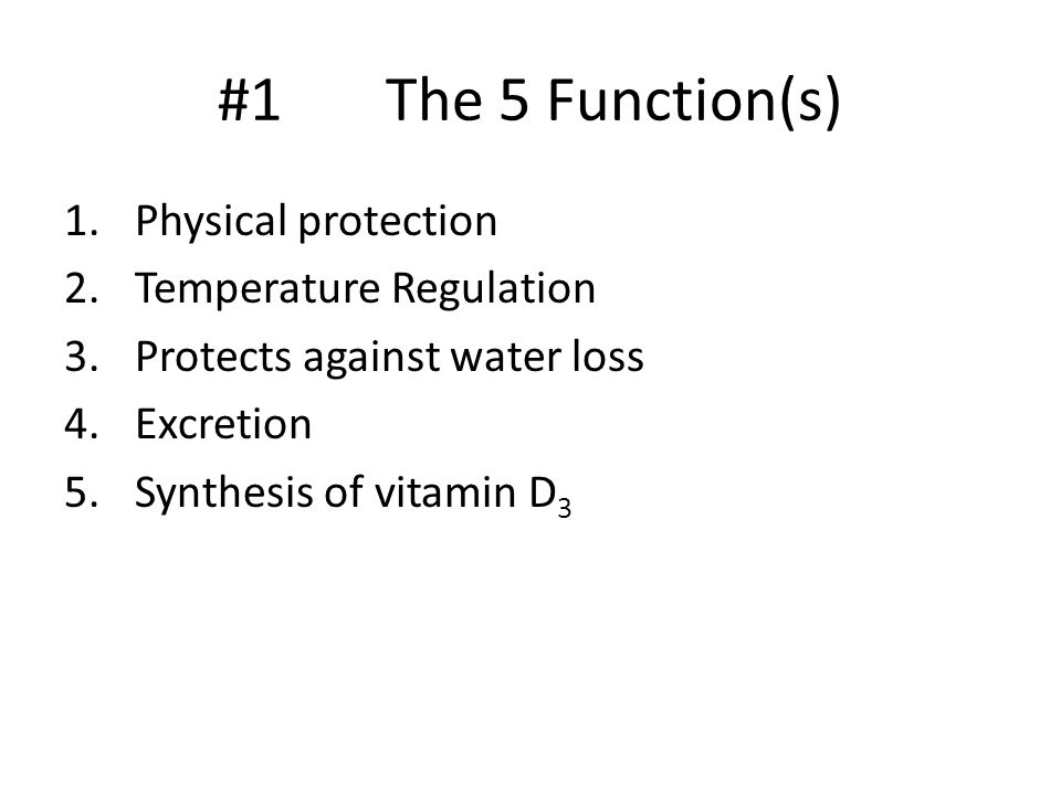 #1 The 5 Function(s) Physical protection Temperature Regulation
