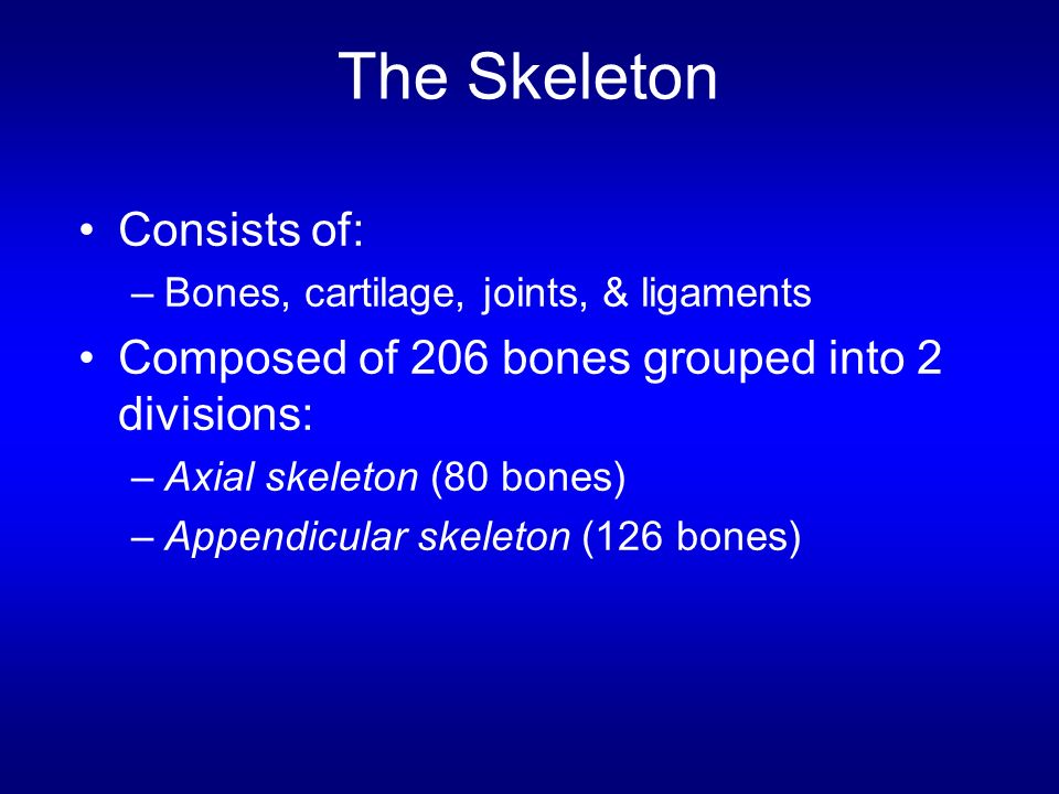 Skeletal Tissue The Axial Skeleton Ppt Download Skeletal Tissue The Axial Skeleton Ppt Download